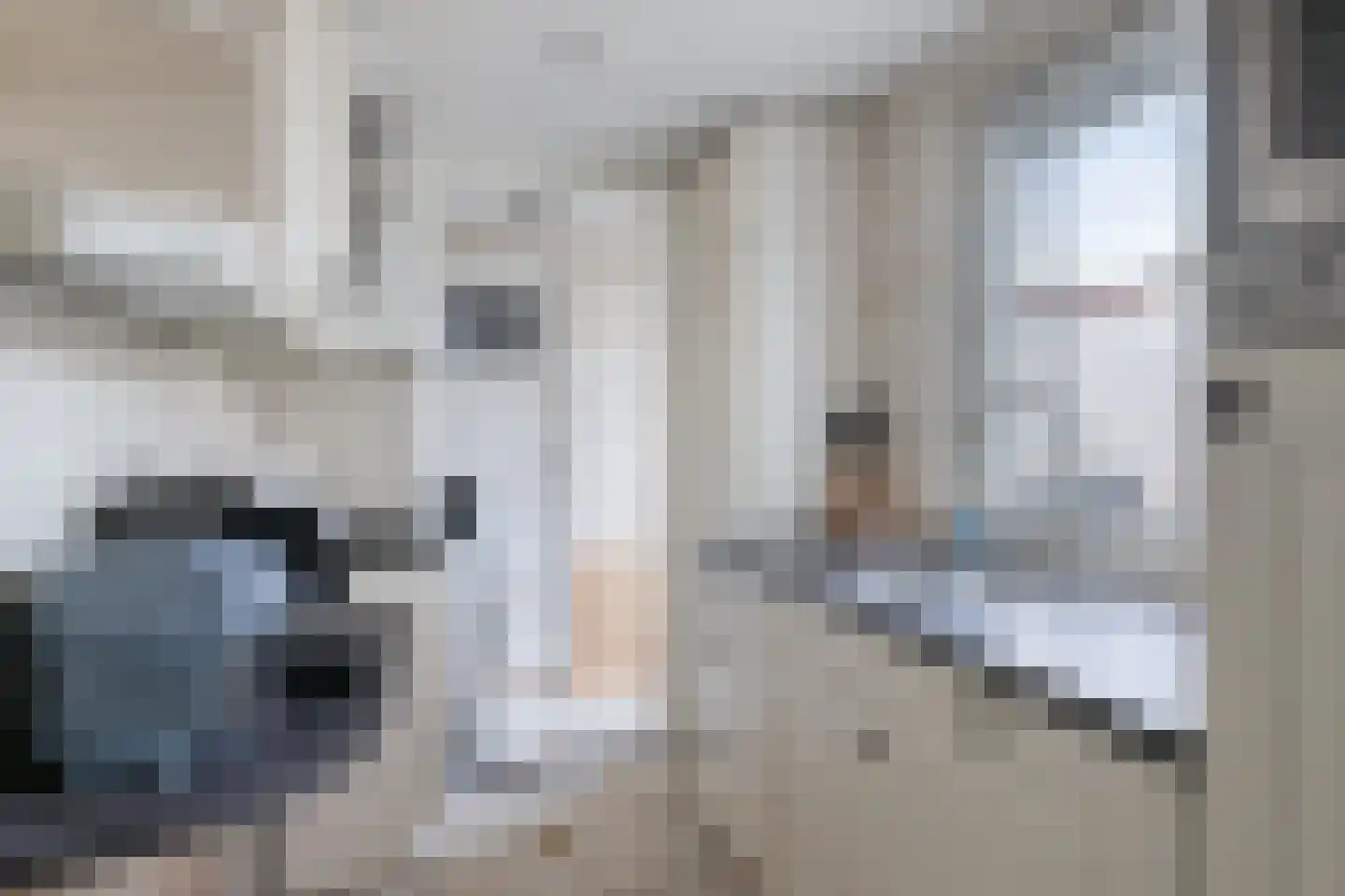 Outshoornstraat 89 Tilburg thumbnail 8
