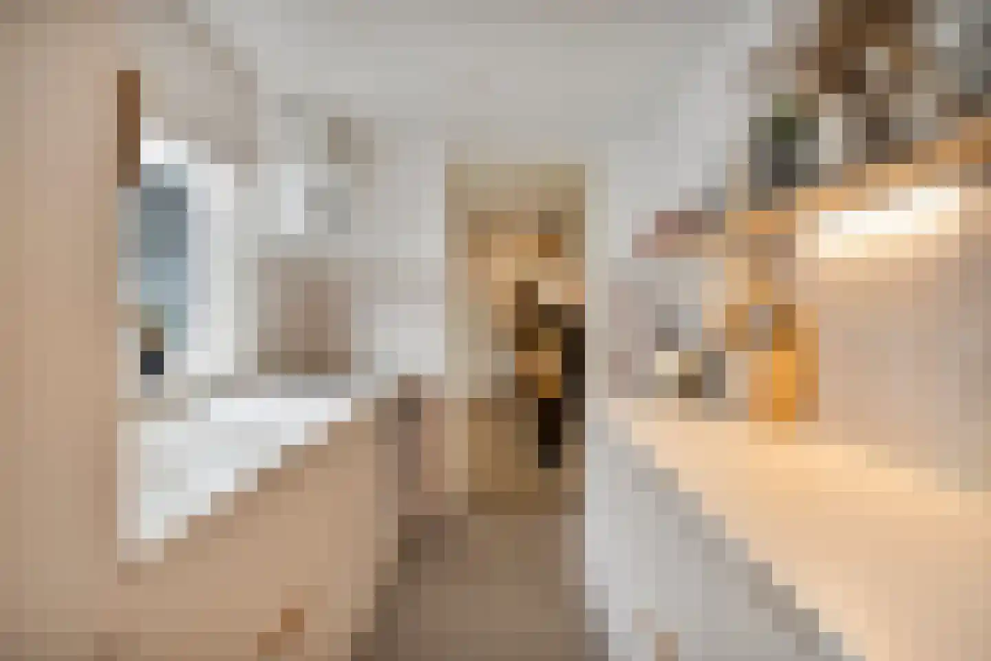 Outshoornstraat 93 Tilburg thumbnail 13