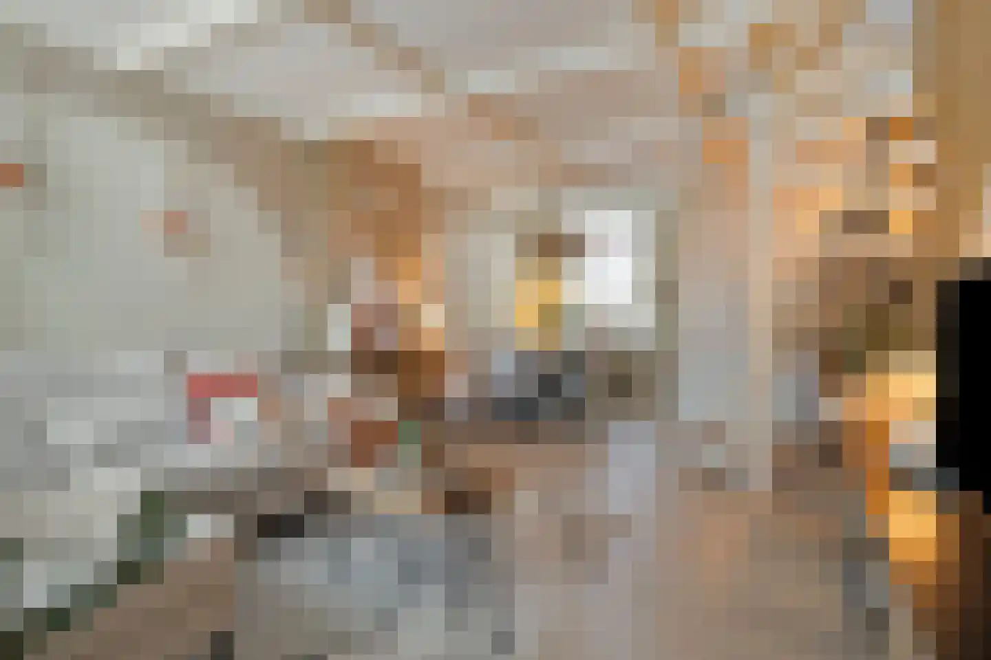 Outshoornstraat 93 Tilburg thumbnail 7