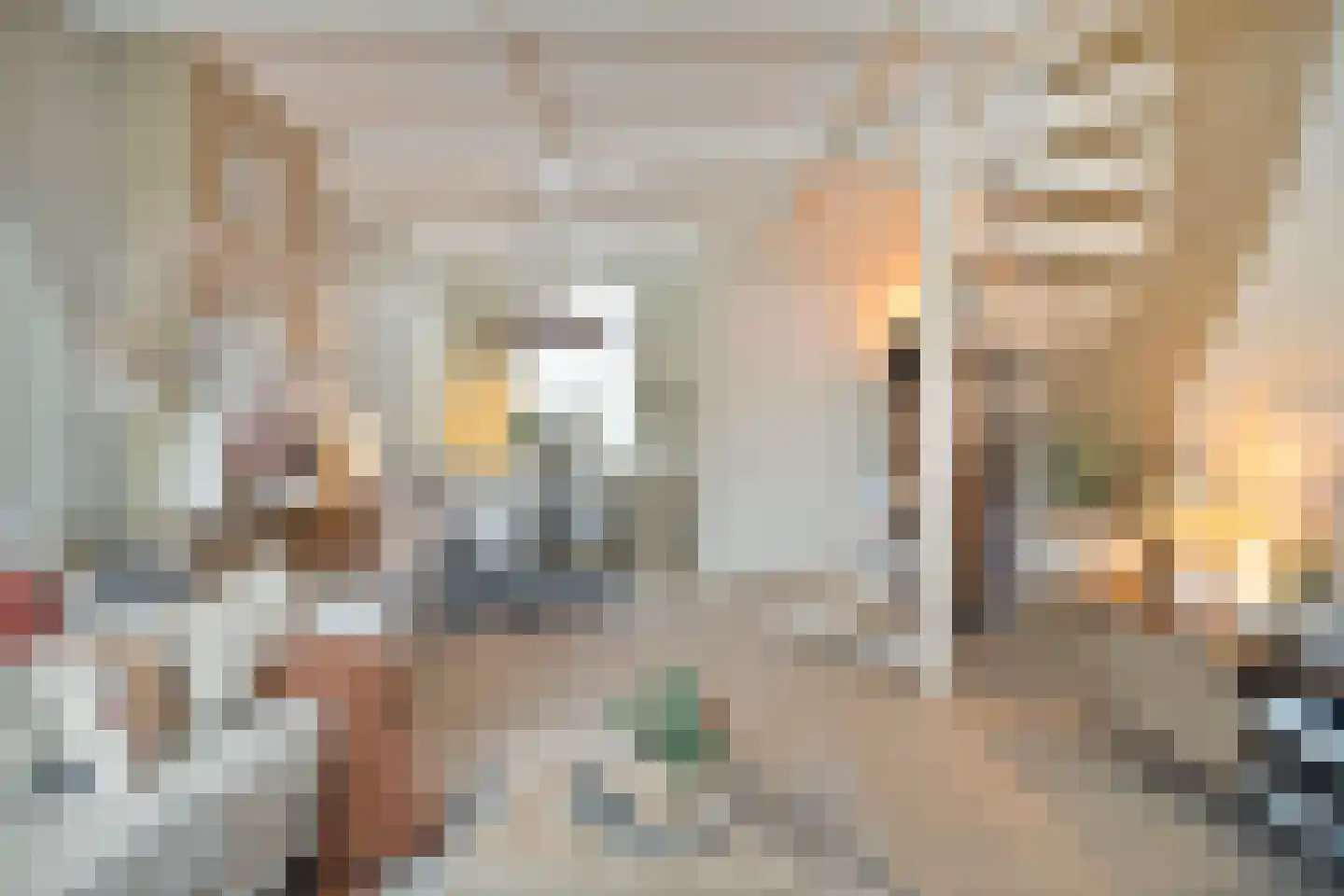 Outshoornstraat 93 Tilburg thumbnail 8