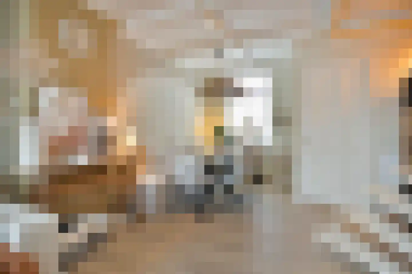 Outshoornstraat 93 Tilburg thumbnail 9