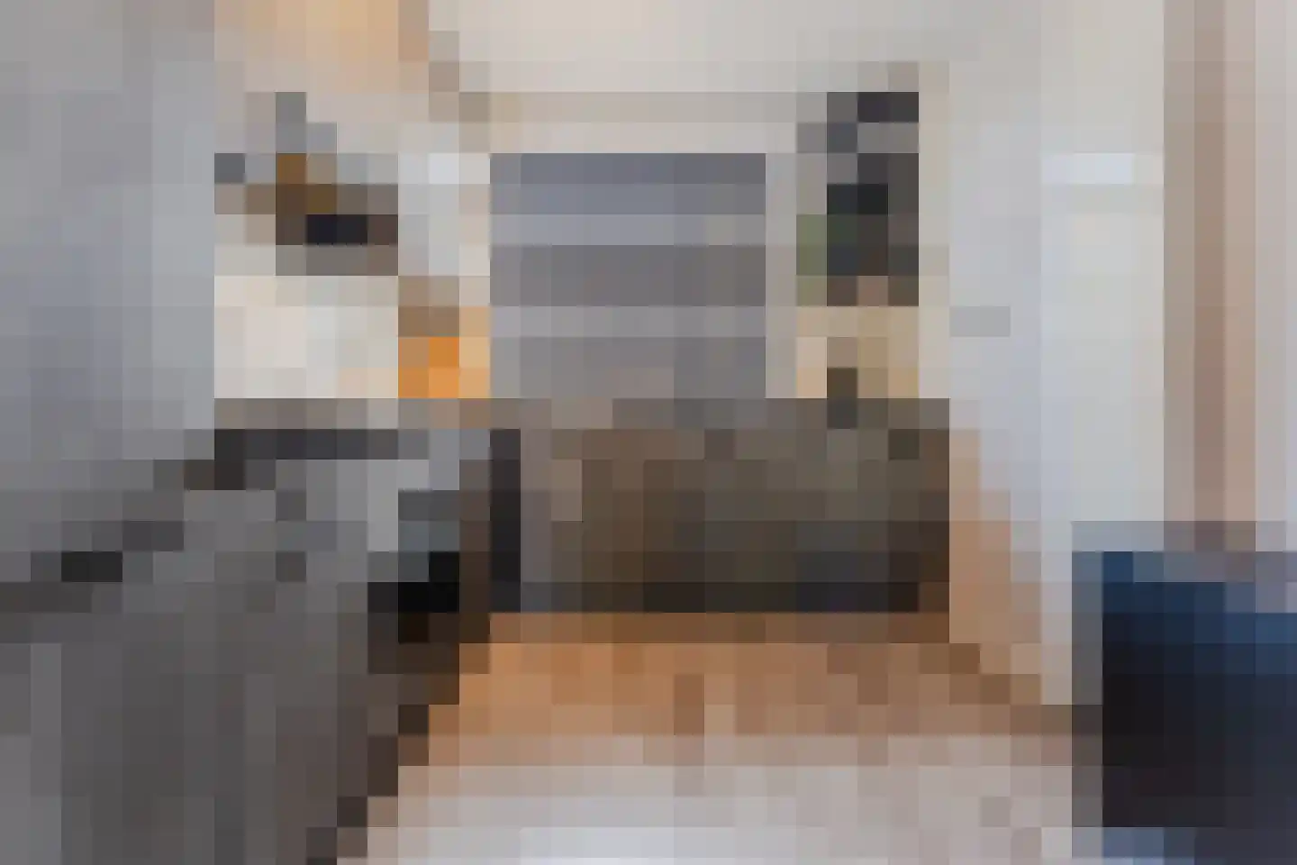 Ouverture 12 Zaandam thumbnail 20