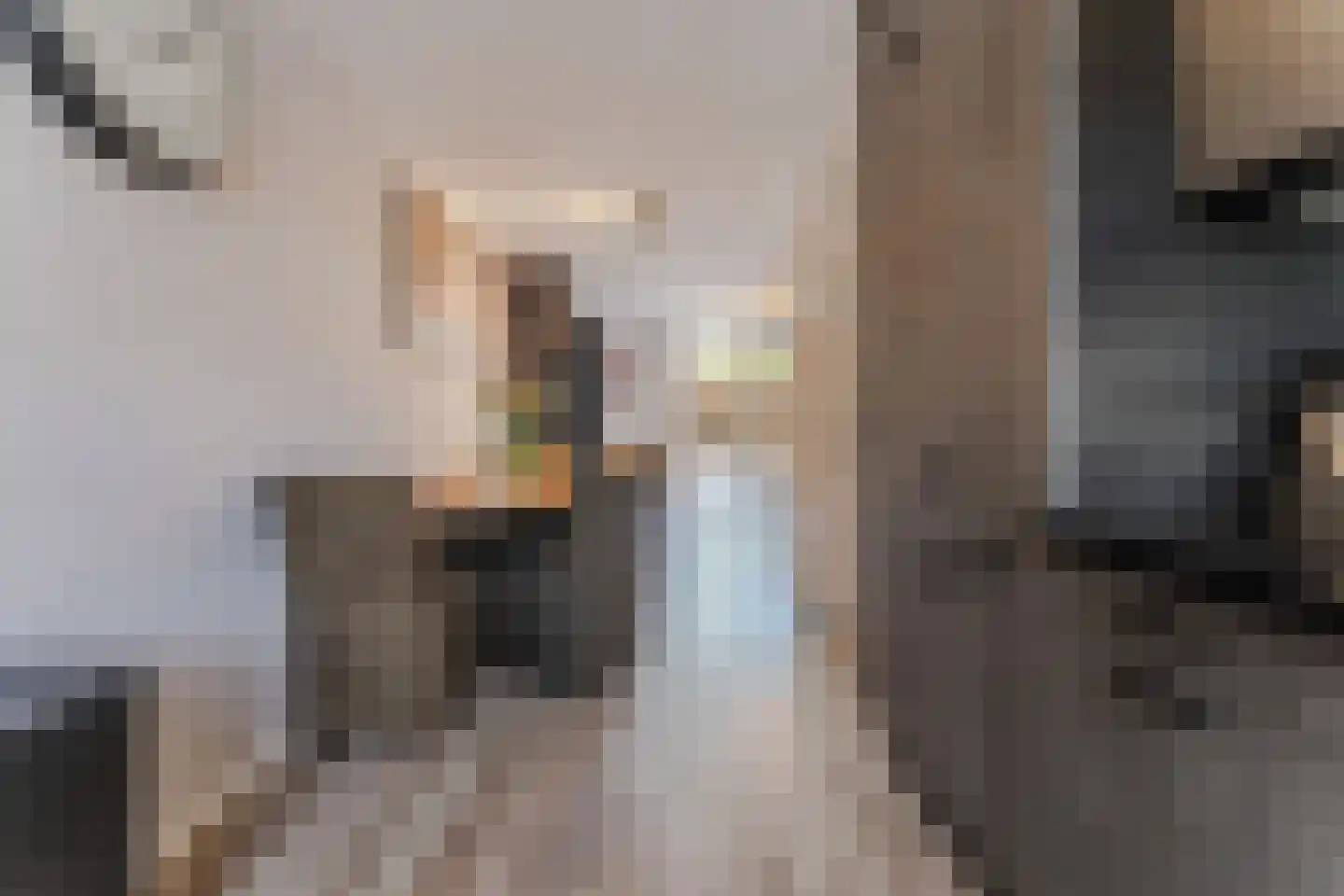 Ouverture 12 Zaandam thumbnail 23