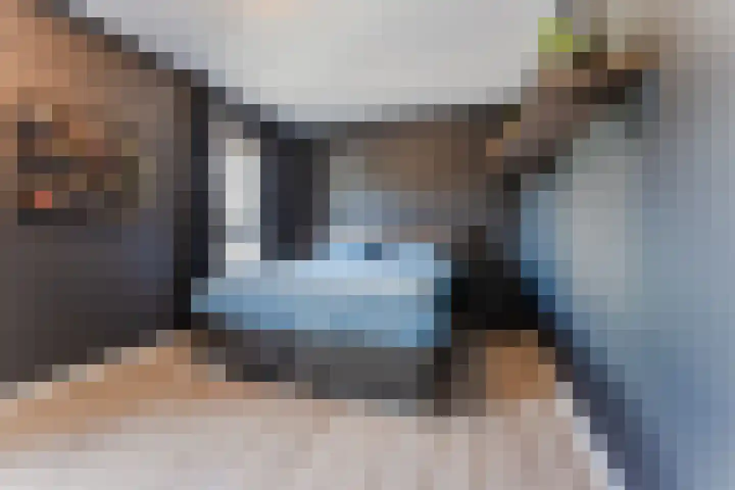 Ouverture 12 Zaandam thumbnail 29