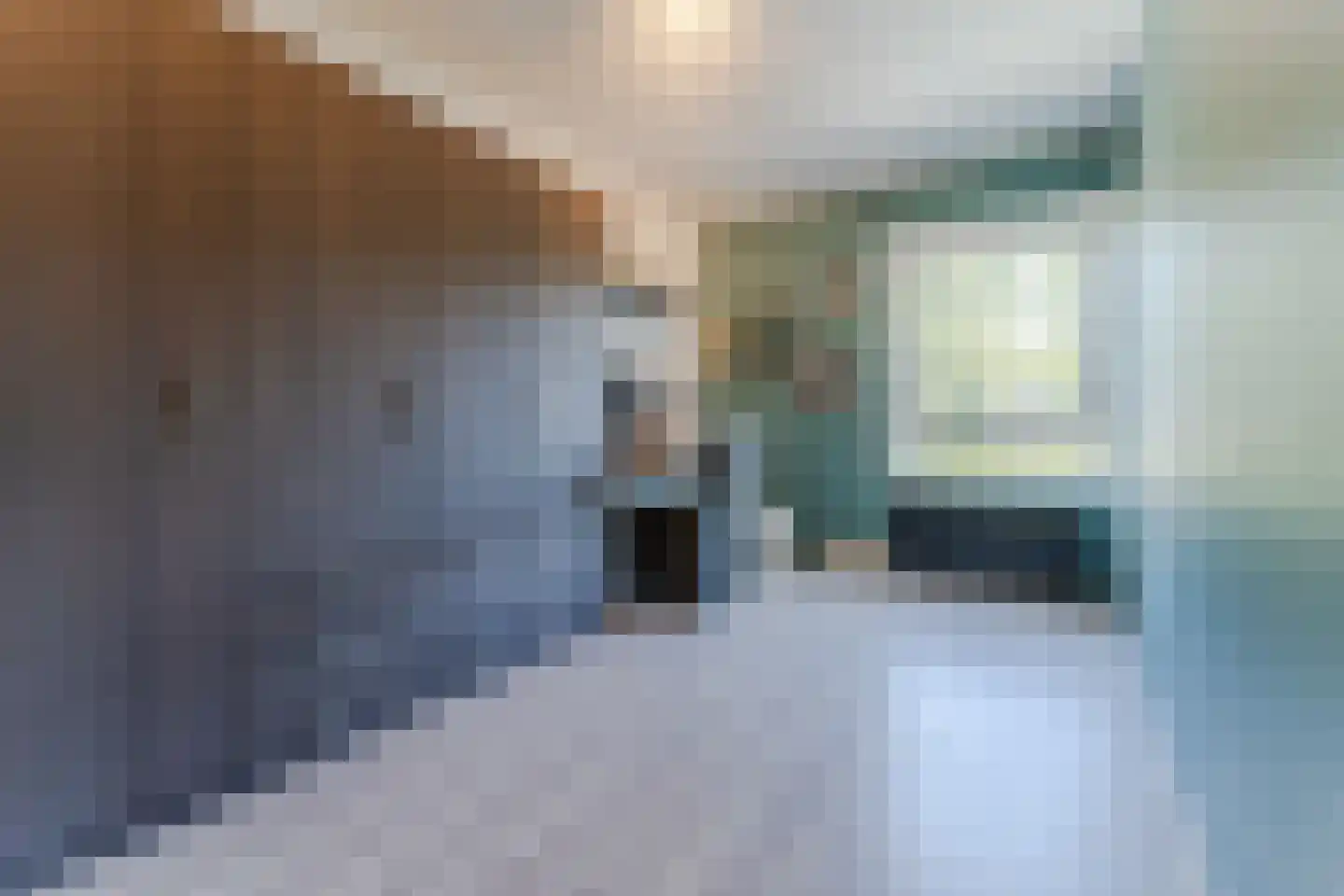 Ouverture 12 Zaandam thumbnail 32