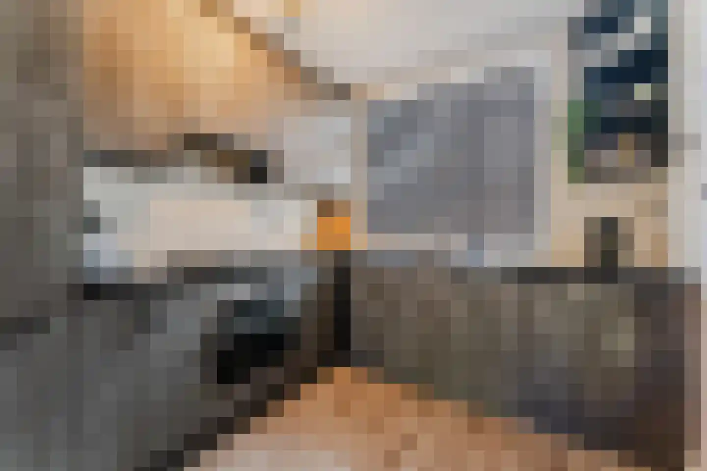 Ouverture 12 Zaandam thumbnail 4