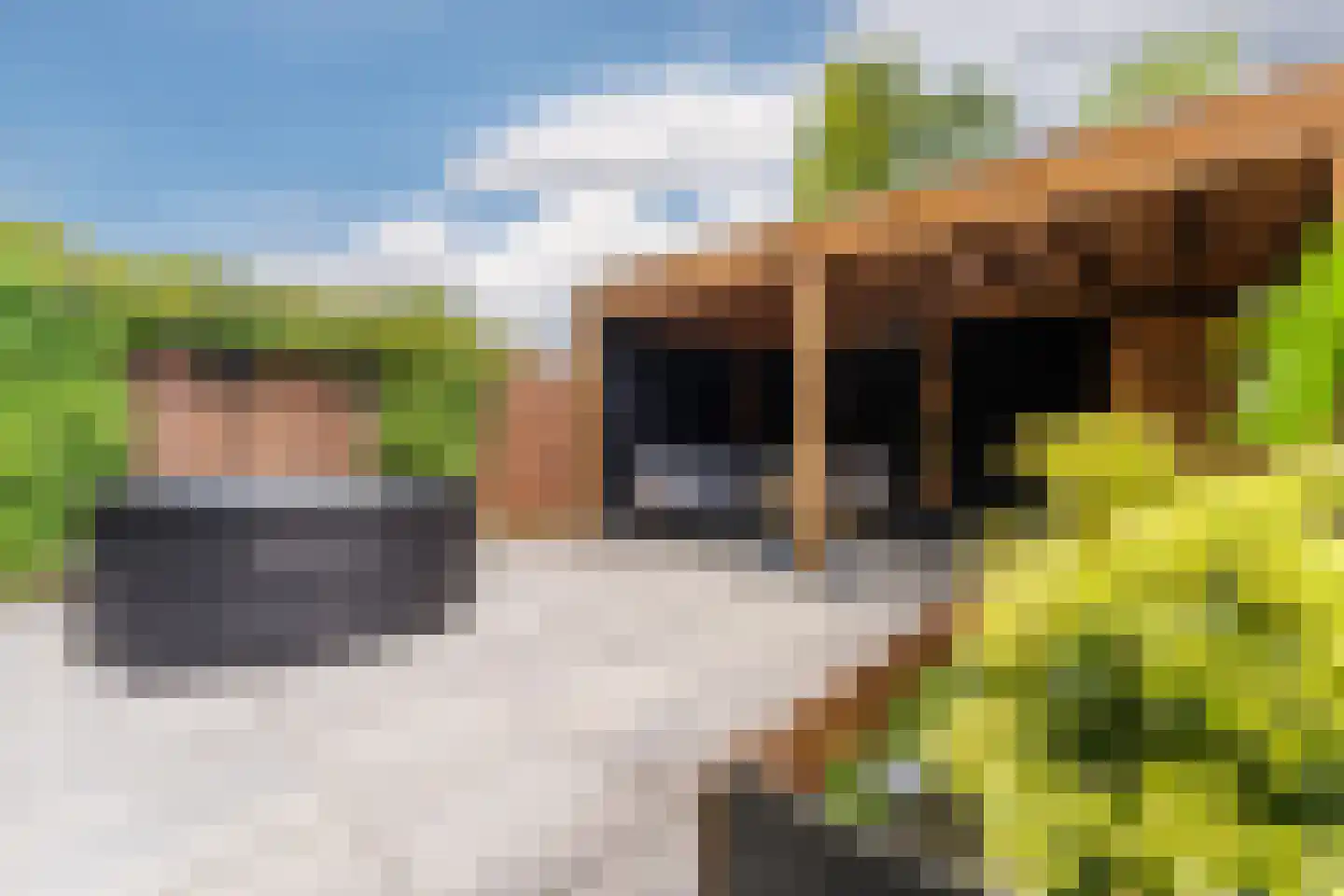 Ouverture 12 Zaandam thumbnail 51