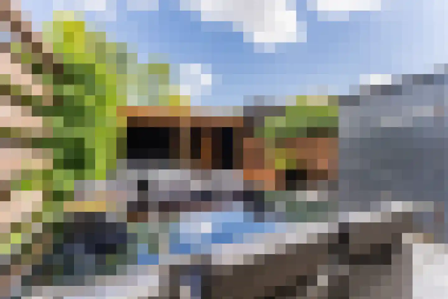 Ouverture 12 Zaandam thumbnail 52