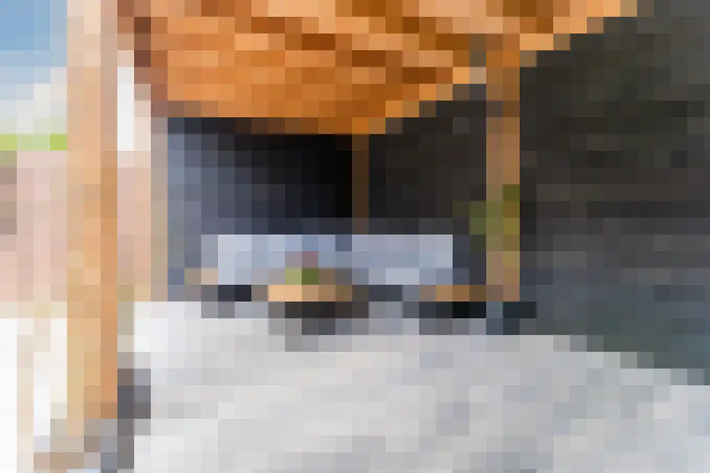 Ouverture 12 Zaandam thumbnail 53