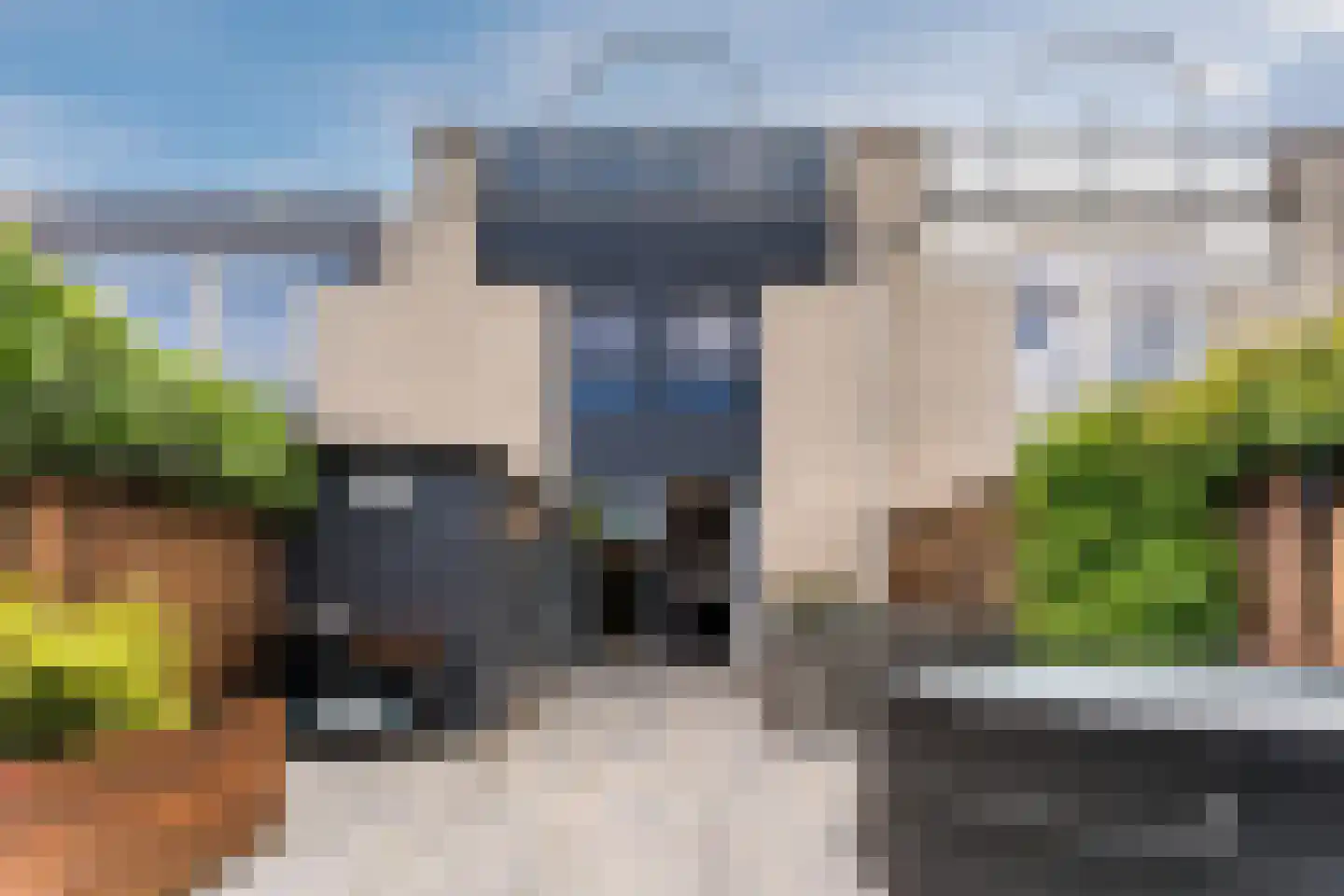 Ouverture 12 Zaandam thumbnail 55