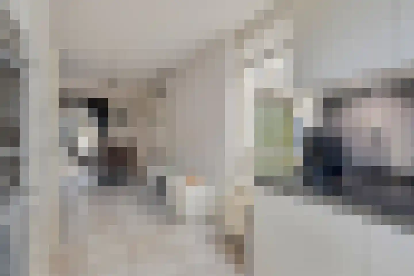 Ouverture 2 Zaandam thumbnail 11