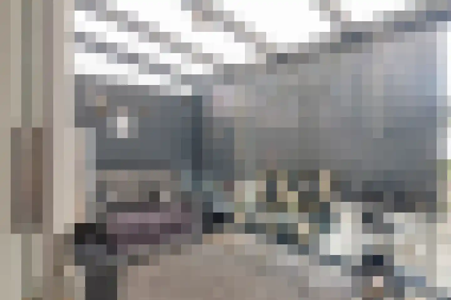 Ouverture 2 Zaandam thumbnail 13