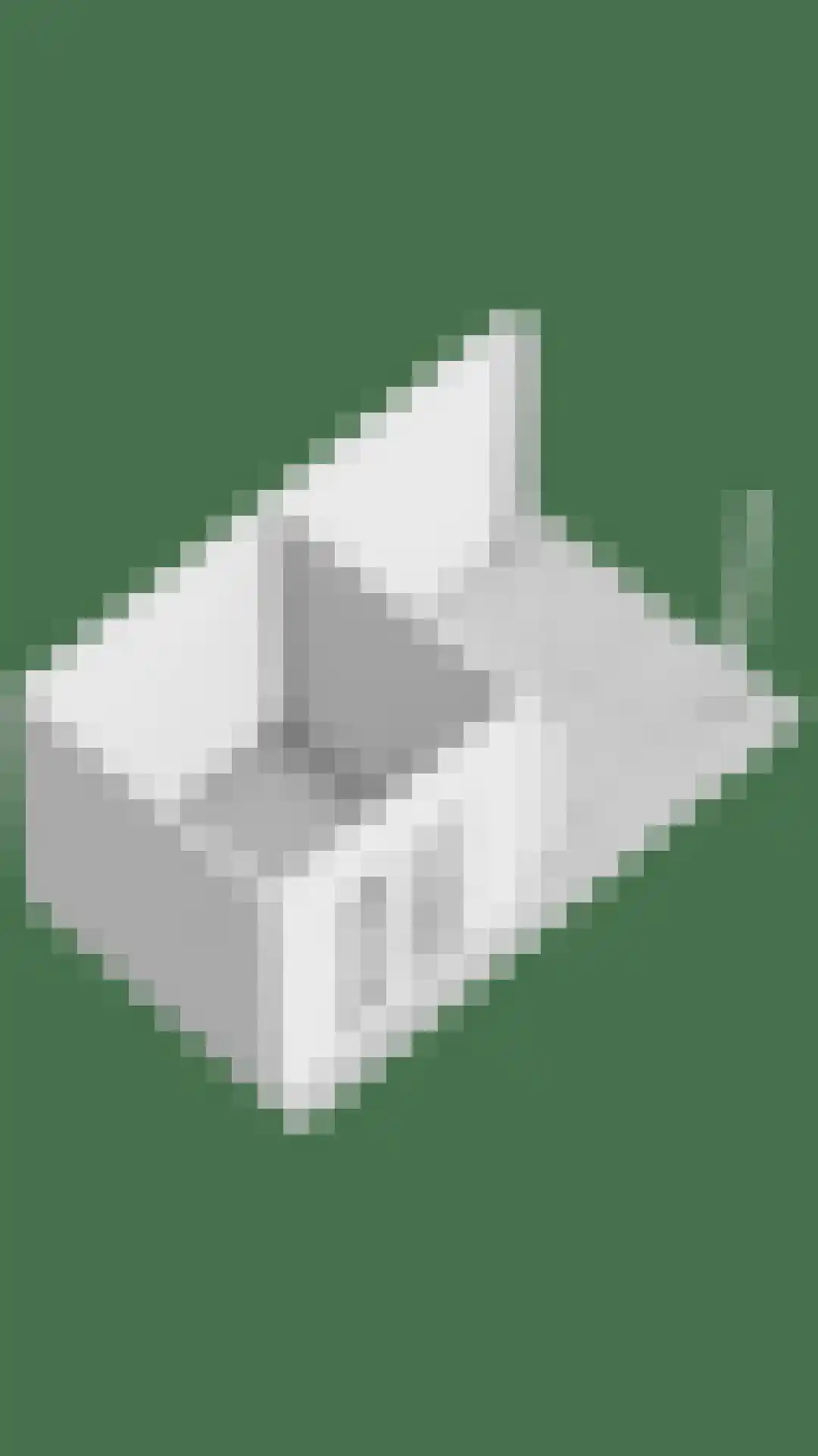 Ouverture 2 Zaandam thumbnail 41