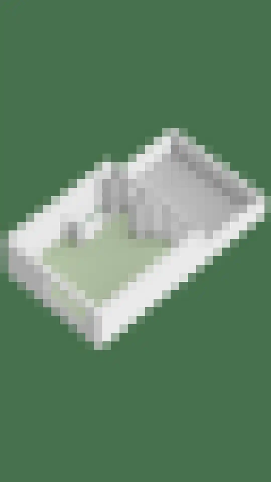 Ouverture 2 Zaandam thumbnail 43