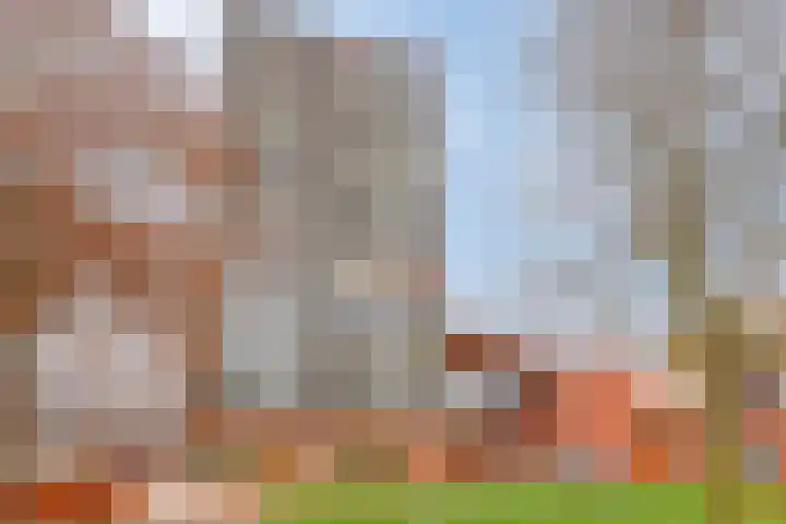 Ouverture 40 Eindhoven