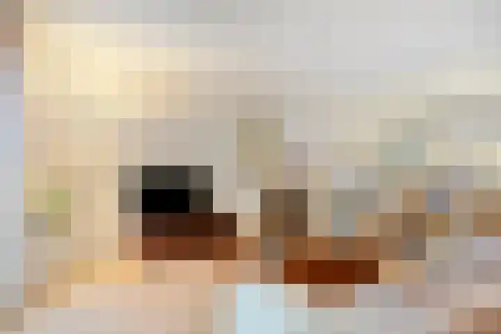 Ouverture 40 Eindhoven thumbnail 18