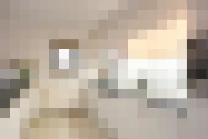 Ouverture 40 Eindhoven thumbnail 25