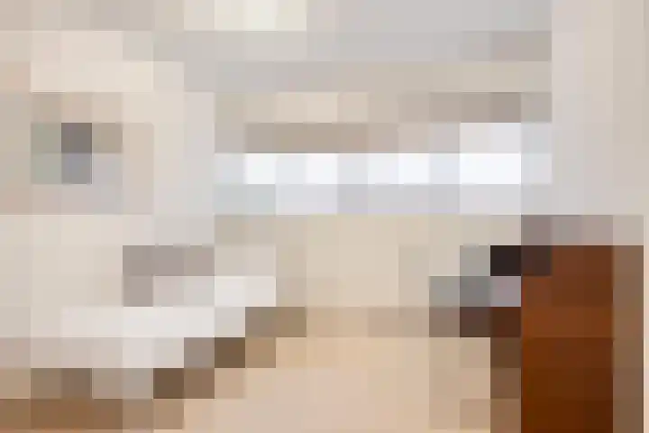 Ouverture 40 Eindhoven thumbnail 32