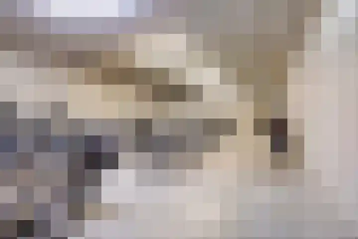 Ouverture 40 Eindhoven thumbnail 44