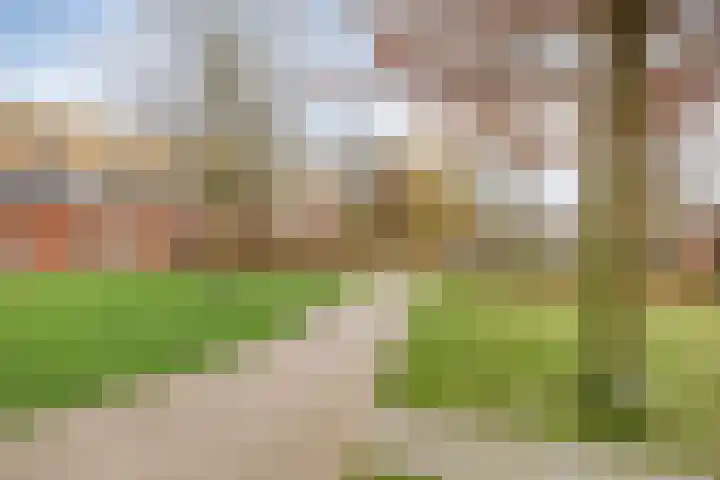 Ouverture 40 Eindhoven thumbnail 50