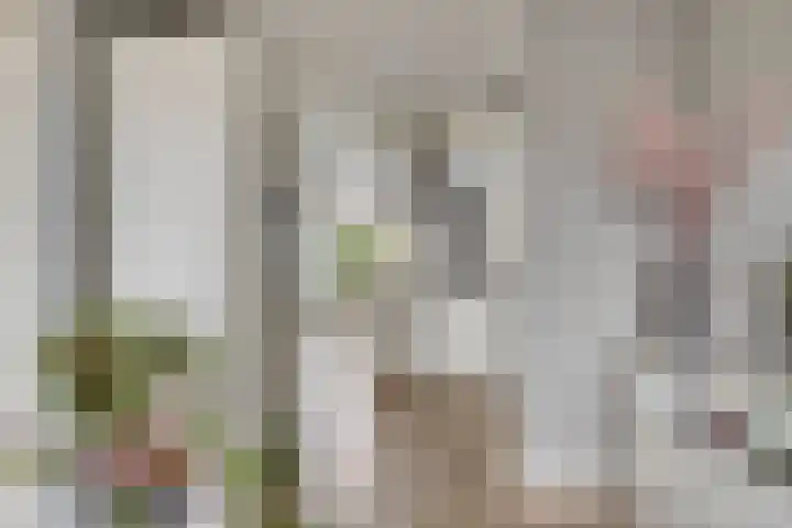 Ouverturelaan 11 Krimpen aan den IJssel thumbnail 12