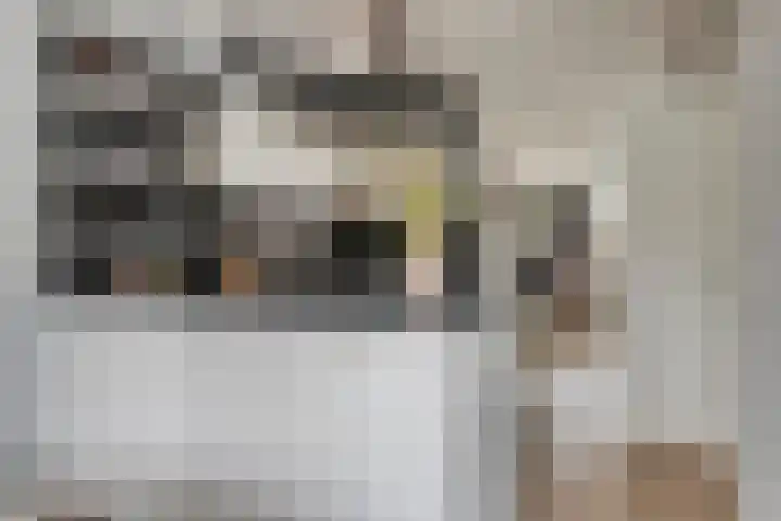 Ouverturelaan 11 Krimpen aan den IJssel thumbnail 13