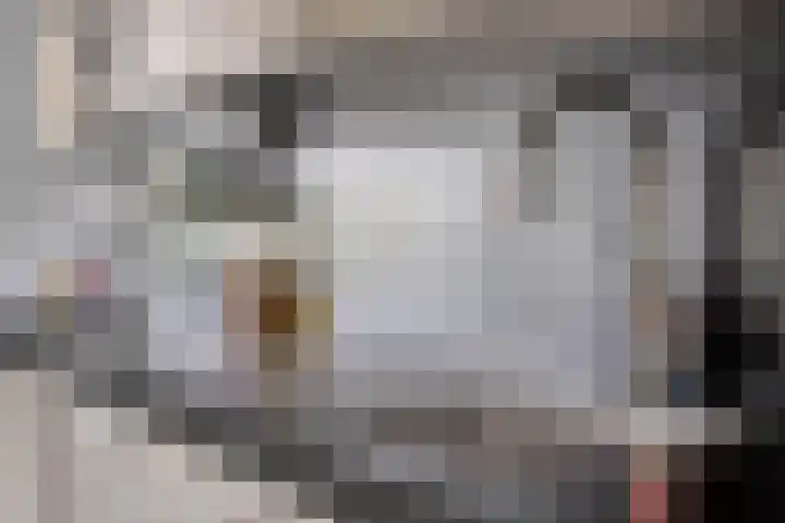 Ouverturelaan 11 Krimpen aan den IJssel thumbnail 16