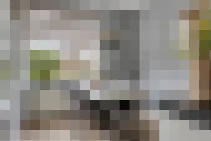 Ouverturelaan 11 Krimpen aan den IJssel thumbnail 17