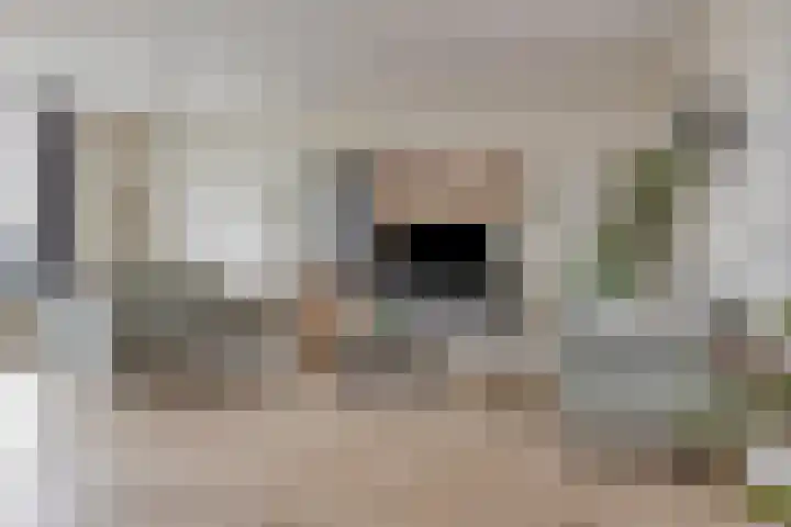 Ouverturelaan 11 Krimpen aan den IJssel foto 2