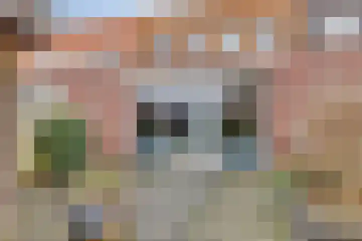 Ouverturelaan 11 Krimpen aan den IJssel thumbnail 49