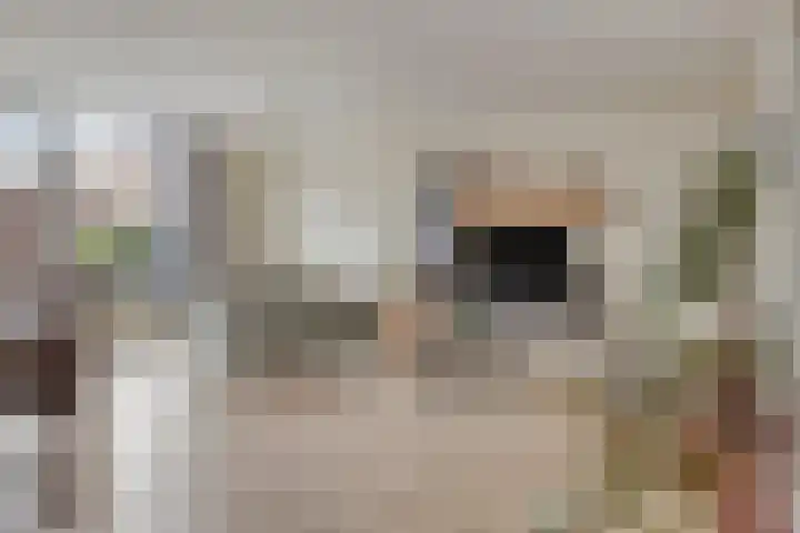Ouverturelaan 11 Krimpen aan den IJssel thumbnail 6