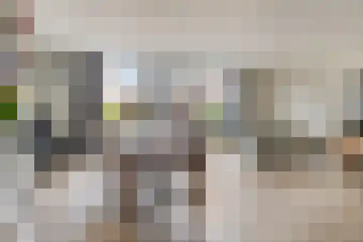Ouverturelaan 11 Krimpen aan den IJssel thumbnail 9