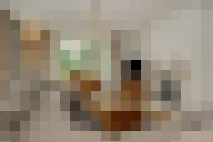 Ouverturelaan 14 Beek en Donk thumbnail 11