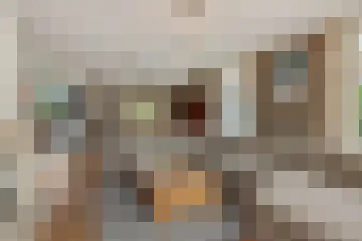Ouverturelaan 14 Beek en Donk thumbnail 12