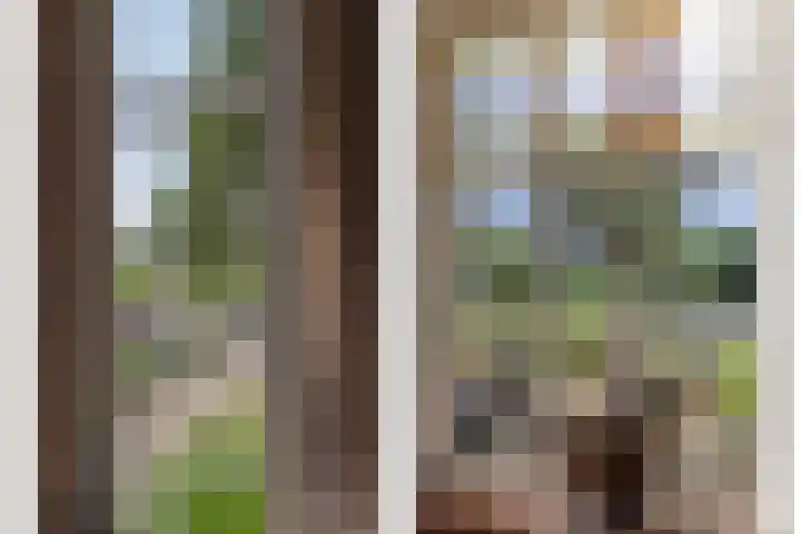 Ouverturelaan 14 Beek en Donk thumbnail 14