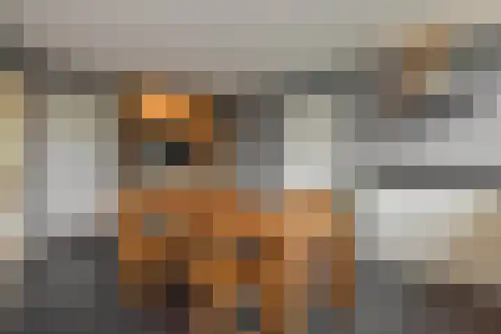 Ouverturelaan 14 Beek en Donk thumbnail 16