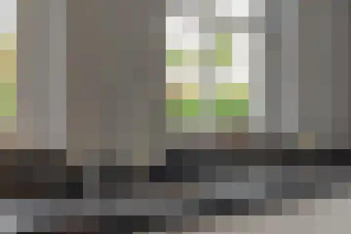 Ouverturelaan 14 Beek en Donk thumbnail 19