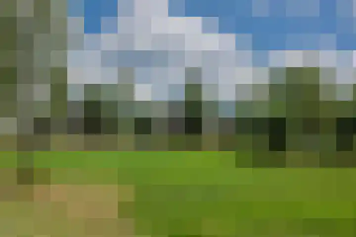 Ouverturelaan 14 Beek en Donk foto 2