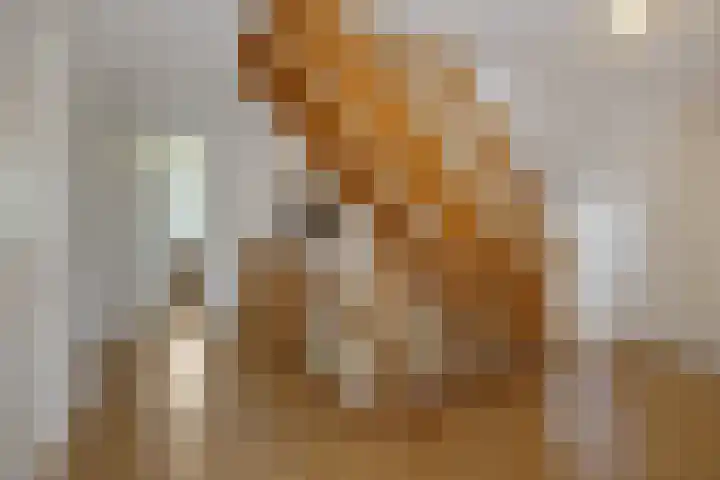 Ouverturelaan 14 Beek en Donk thumbnail 21