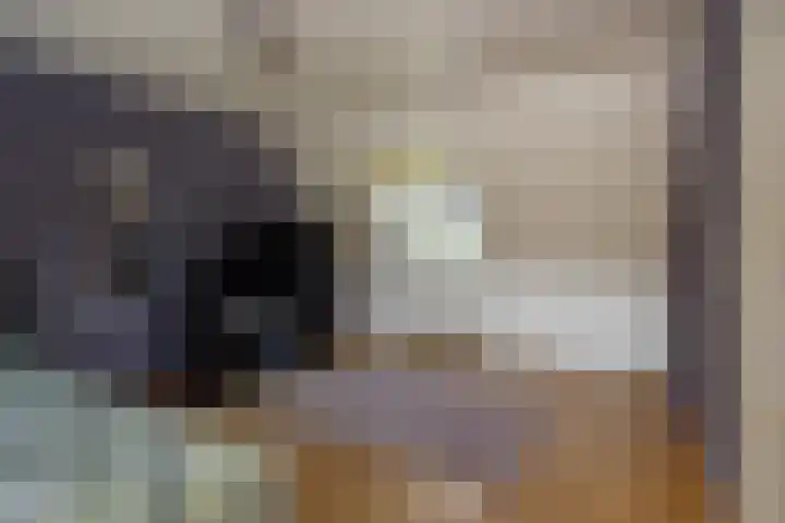 Ouverturelaan 14 Beek en Donk thumbnail 24