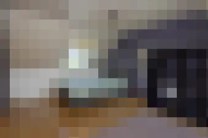 Ouverturelaan 14 Beek en Donk thumbnail 25