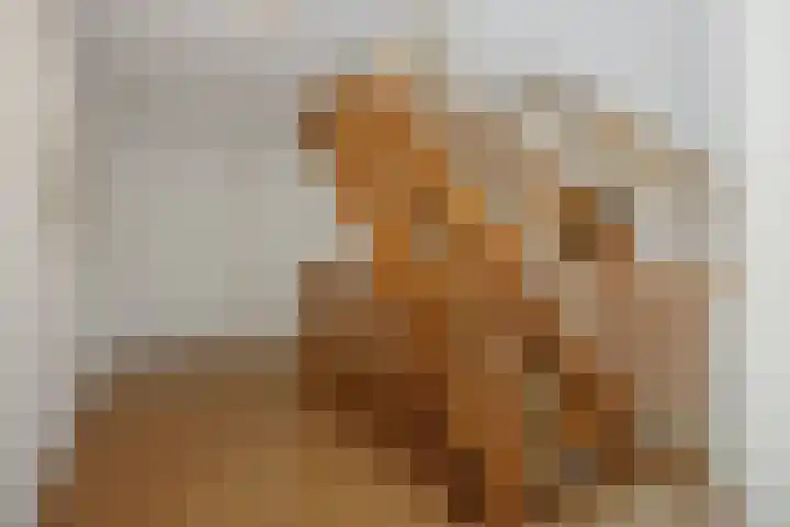 Ouverturelaan 14 Beek en Donk thumbnail 30