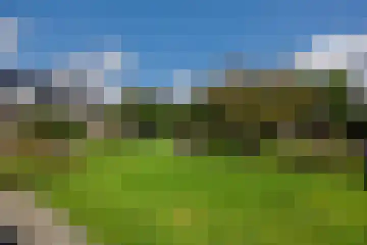 Ouverturelaan 14 Beek en Donk thumbnail 34