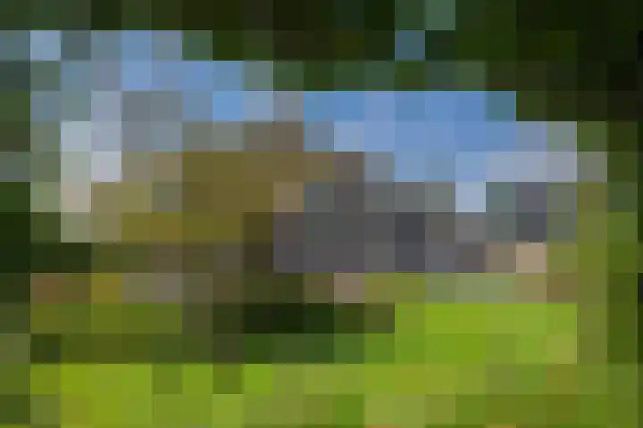 Ouverturelaan 14 Beek en Donk thumbnail 36