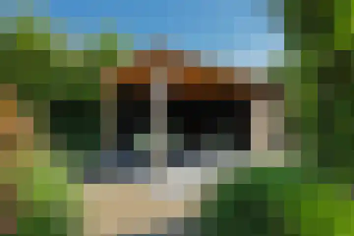 Ouverturelaan 14 Beek en Donk thumbnail 38