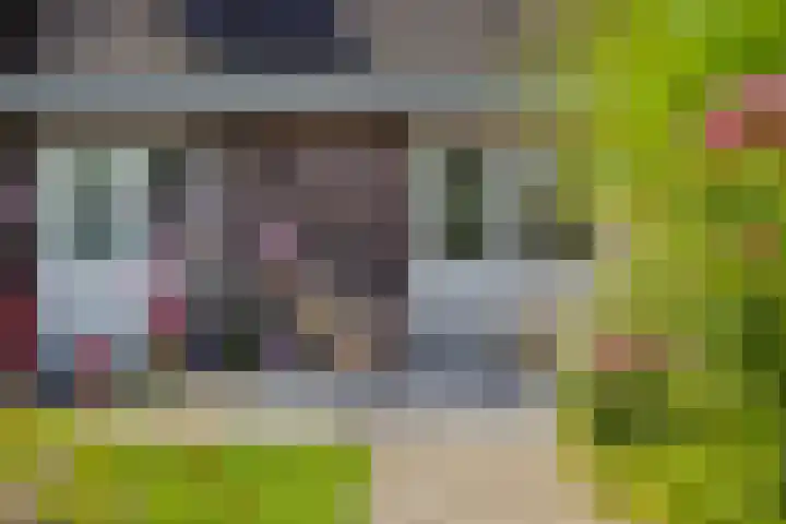 Ouverturelaan 14 Beek en Donk thumbnail 40