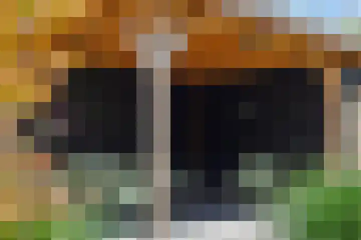 Ouverturelaan 14 Beek en Donk thumbnail 41