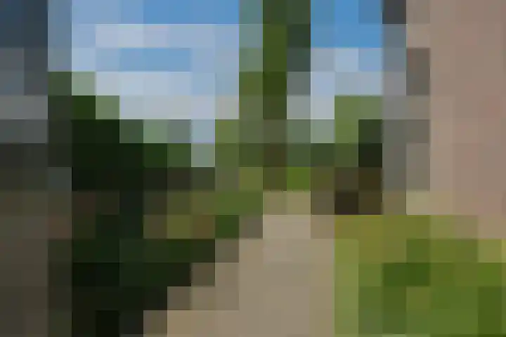 Ouverturelaan 14 Beek en Donk thumbnail 42