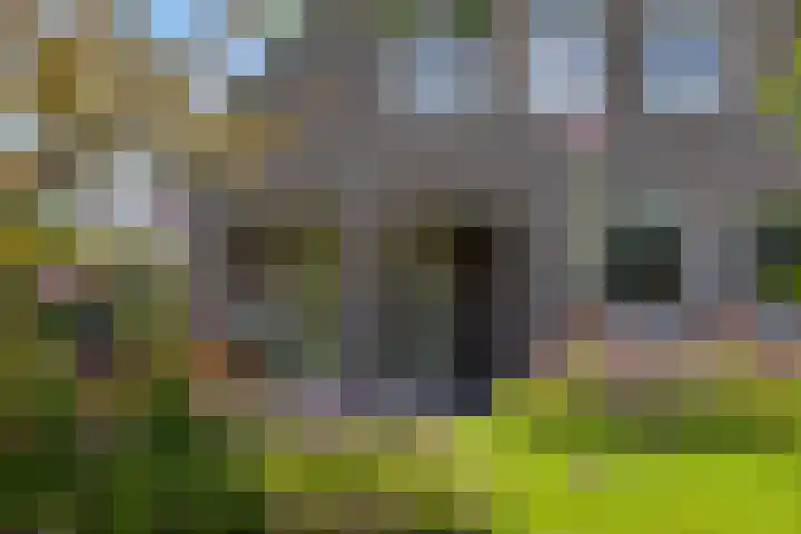 Ouverturelaan 14 Beek en Donk thumbnail 44