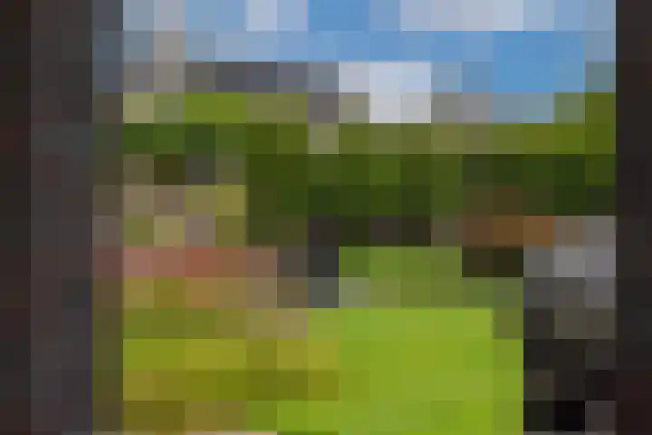 Ouverturelaan 14 Beek en Donk thumbnail 45